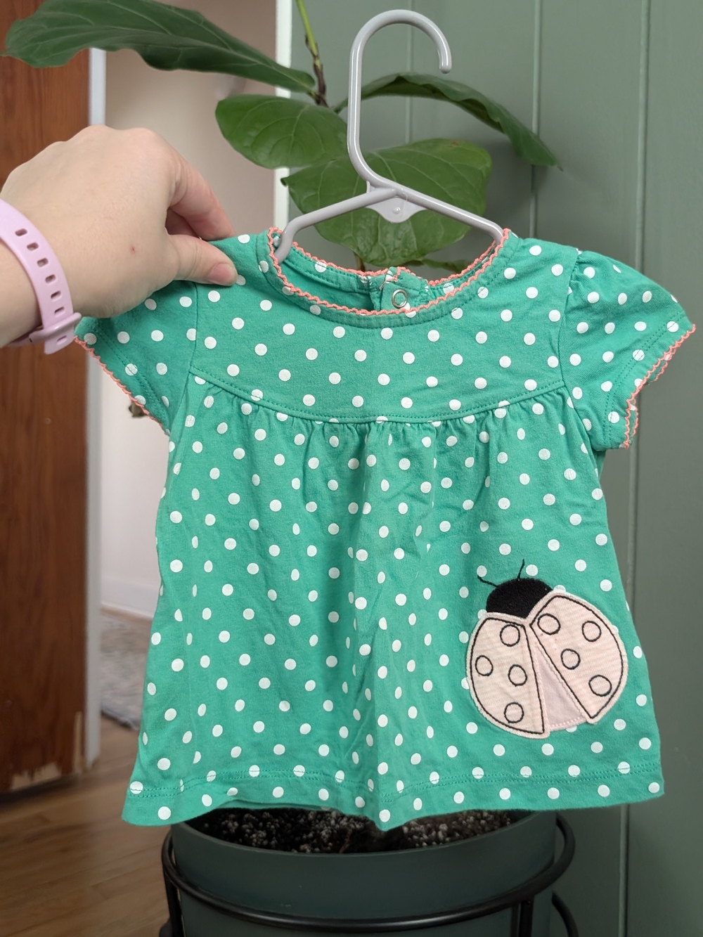 Green Polka Dot Baby Dress with Ladybug Applique